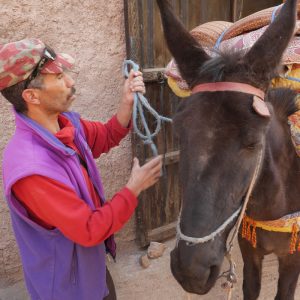 Upplev den marockanska kulturen med Swett
