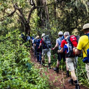 Rutter på Kilimanjaro | Swett