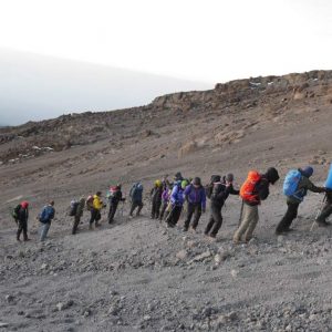 bästa Kilimanjaro-leden | Swett